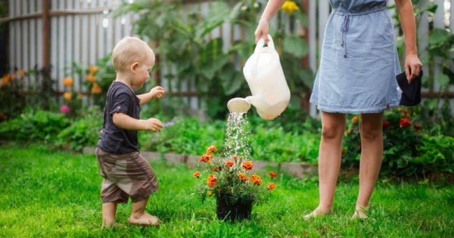 birthdays,-holidays,-christmas-without-mum-or-dad:-how-to-support-kids-with-a-parent-away-fighting-fires